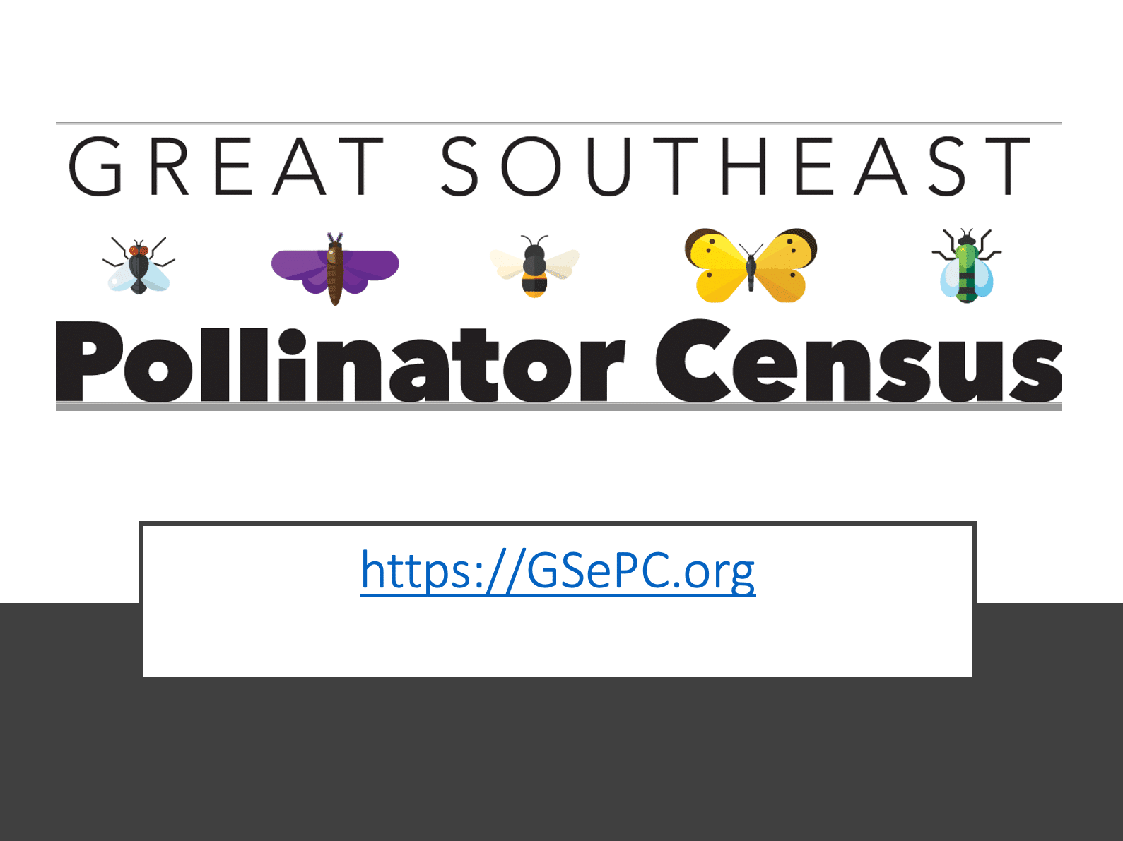 PowerPoint Screen Shot – The Great Southeast Pollinator Census