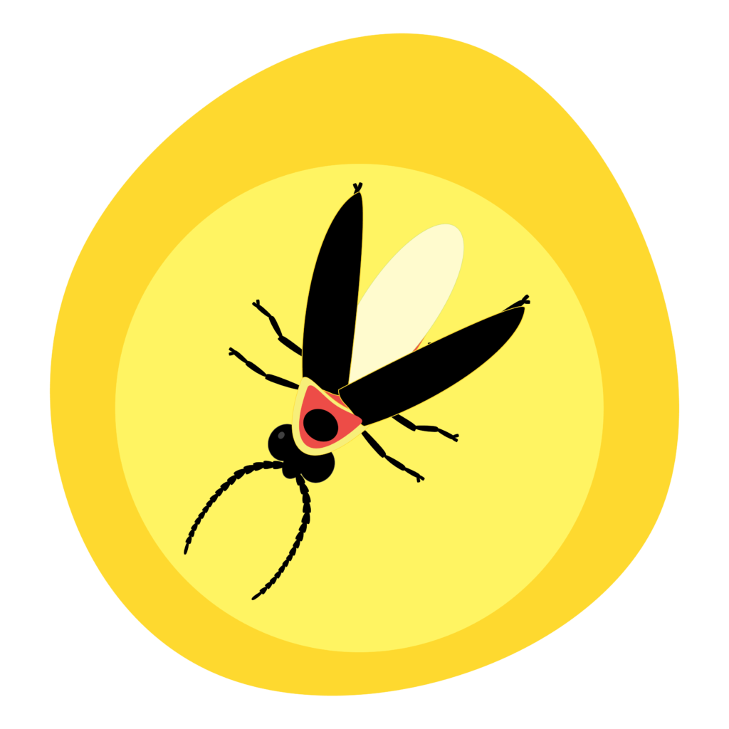 Lights Off. Fireflies On. The Great Pollinator Count