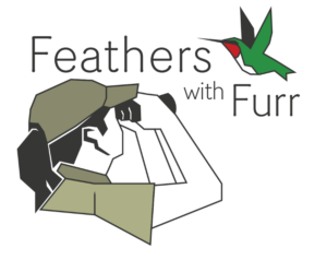 Feathers with Furr