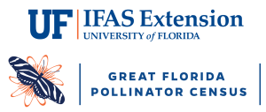 Extensión de la Universidad de Florida
