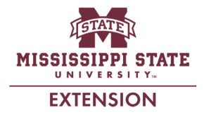 Universidad Estatal de Mississippi